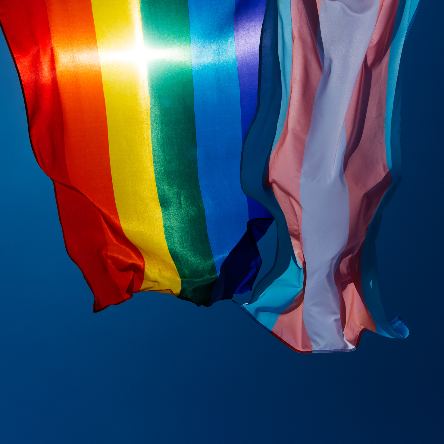 Rainbow and Transgender Flags